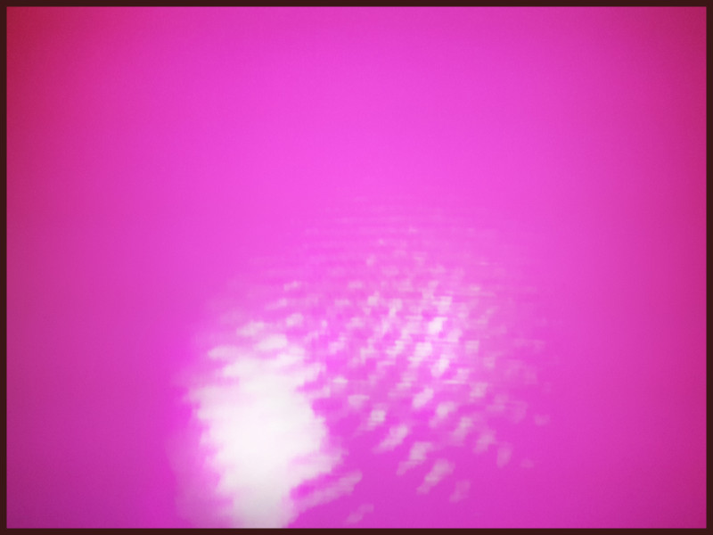 Pink by Ian Lewis, Photographic Print at Koru Art Gallery, New Plymouth, NZ